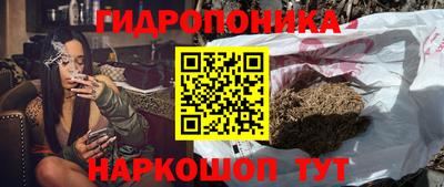 шишки Бузулук